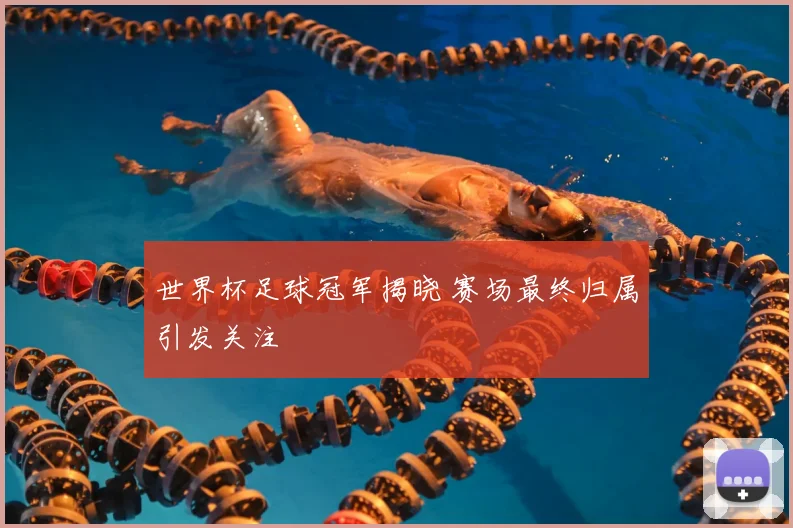 世界杯足球冠军揭晓 赛场最终归属引发关注