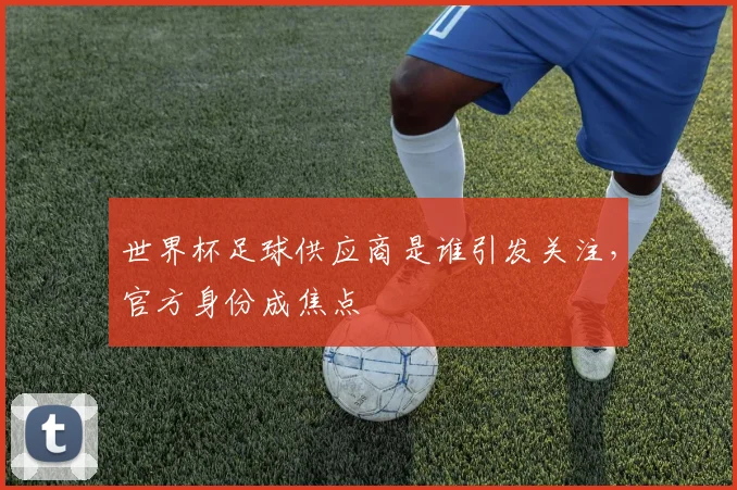 世界杯足球供应商是谁引发关注，官方身份成焦点