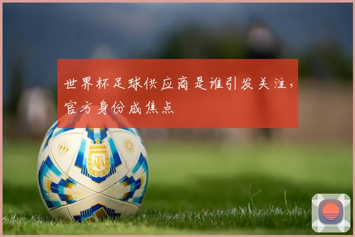 世界杯足球供应商是谁引发关注，官方身份成焦点