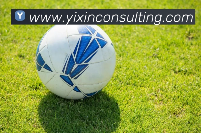 kaiyun官方网站入口APP 封面图